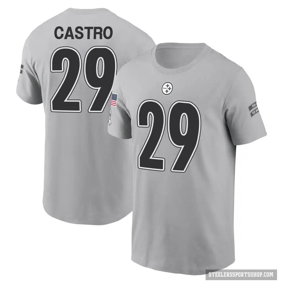 Men's ＃29 Sebastian Castro Pittsburgh Steelers Gray 2024 Salute to Service T-Shirt